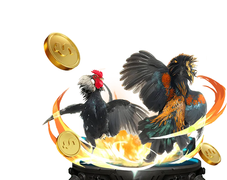 Tổng quan về nền tảng ev99a Casino
